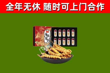 白水县烟酒回收冬虫夏草礼盒.jpg