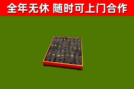 白水县回收海参